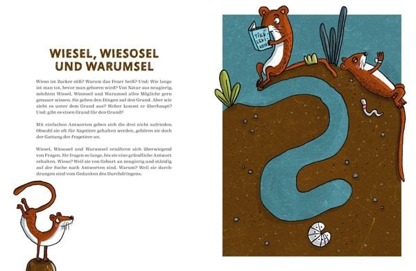 Produktbild: Von Schildfl&ouml;ten, Herdm&auml;nnchen und Gro&szlig;maulnash&ouml;rnern.