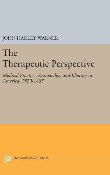 Produktbild: The Therapeutic Perspective