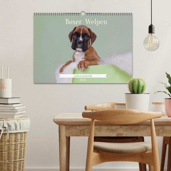 Produktbild: Boxer Welpen einfach zuckers&uuml;&szlig; (Wandkalender 2026 DIN A3 quer), CALVENDO Monatskalender