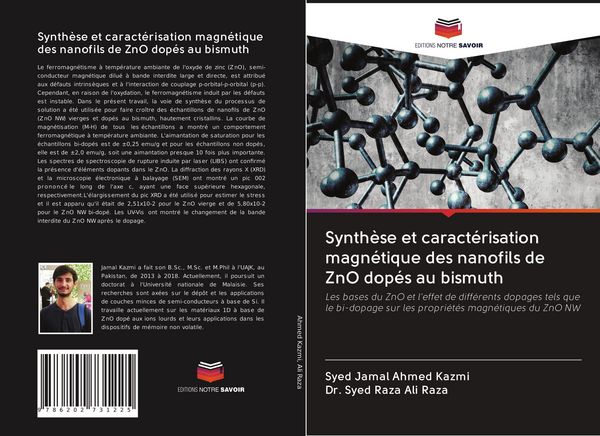 Produktbild: Synth&egrave;se et caract&eacute;risation magn&eacute;tique des nanofils de ZnO dop&eacute;s au bismuth
