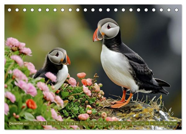 Produktbild: Tierkinder der L&uuml;fte - Vogelwelt (Tischkalender 2027 DIN A5 quer), CALVENDO Monatskalender