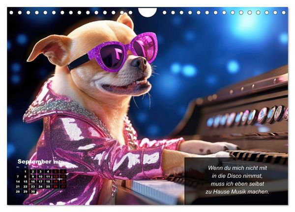 Produktbild: Lustige Chihuahua-Momente (Wandkalender 2026 DIN A4 quer), CALVENDO Monatskalender