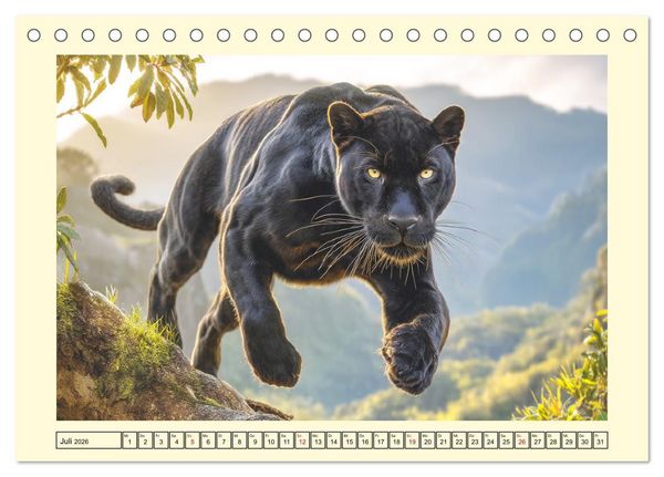 Produktbild: Schwarze Panther. Geheimnisvolle Schatten der Wildnis (Tischkalender 2026 DIN A5 quer), CALVENDO Monatskalender