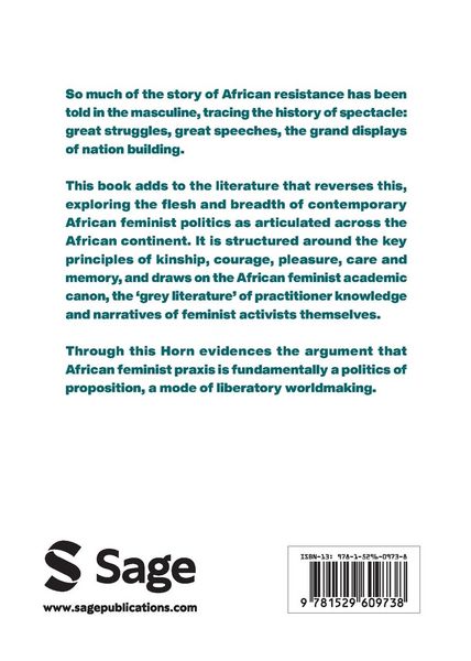 Produktbild: African Feminist Praxis