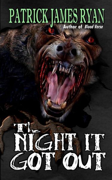 Produktbild: The Night It Got Out