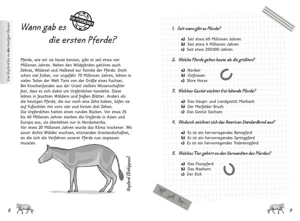 Produktbild: Mein Pferdequiz