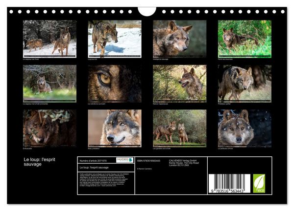 Produktbild: Le loup: l'esprit sauvage (Calendrier mural 2026 DIN A4 vertical), CALVENDO calendrier mensuel