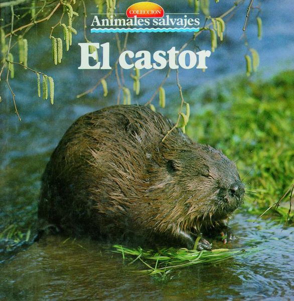 Produktbild: El castor