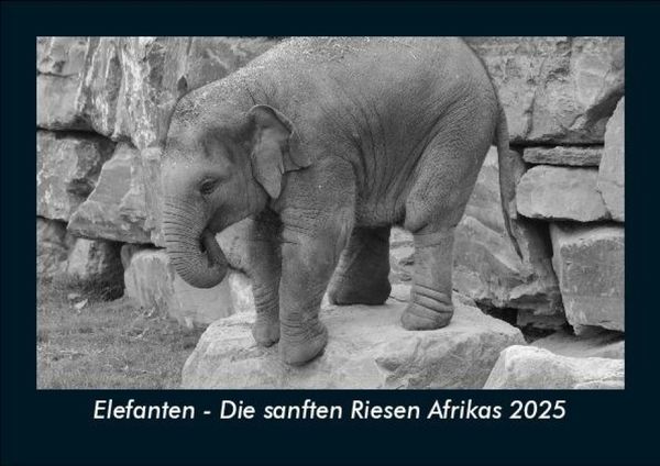 Elefanten - Die sanften Riesen Afrikas 2025 Fotokalender DIN A5