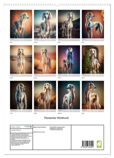 Produktbild: Persischer Windhund (hochwertiger Premium Wandkalender 2026 DIN A2 hoch), Kunstdruck in Hochglanz