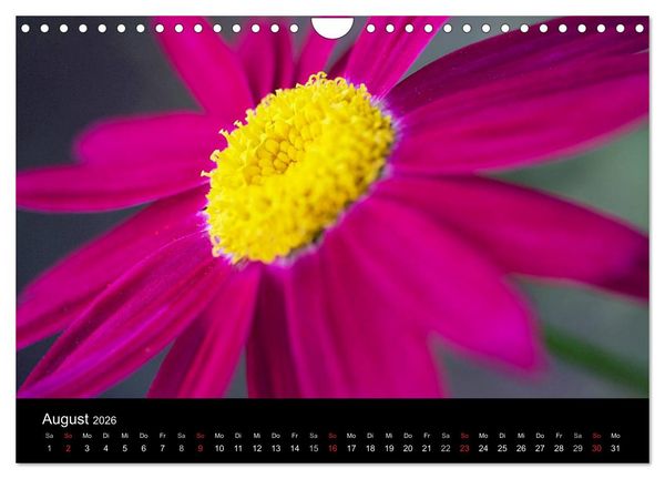 Produktbild: Blumige Farben (Wandkalender 2026 DIN A4 quer), CALVENDO Monatskalender