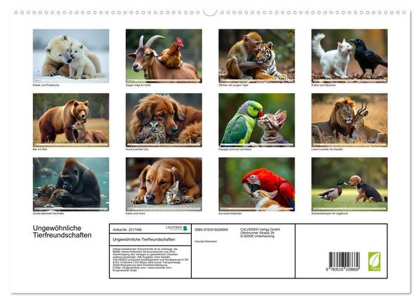 Produktbild: Ungew&ouml;hnliche Tierfreundschaften (hochwertiger Premium Wandkalender 2026 DIN A2 quer), Kunstdruck in Hochglanz