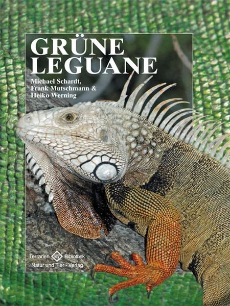 Produktbild: Gr&uuml;ne Leguane