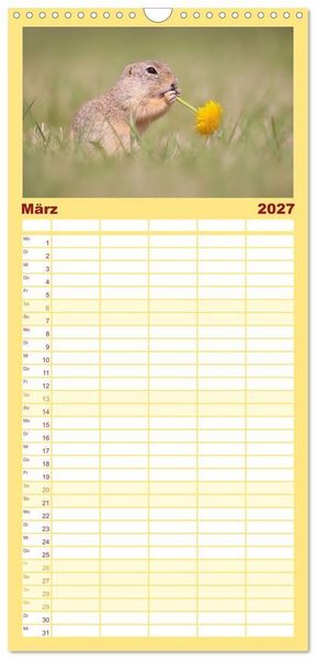 Produktbild: Familienplaner 2027 - Zauberhafte Ziesel mit 5 Spalten (Wandkalender, 21 x 45 cm) CALVENDO