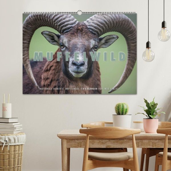 Produktbild: Emotionale Momente: Muffelwild. (Wandkalender 2026 DIN A2 quer), CALVENDO Monatskalender