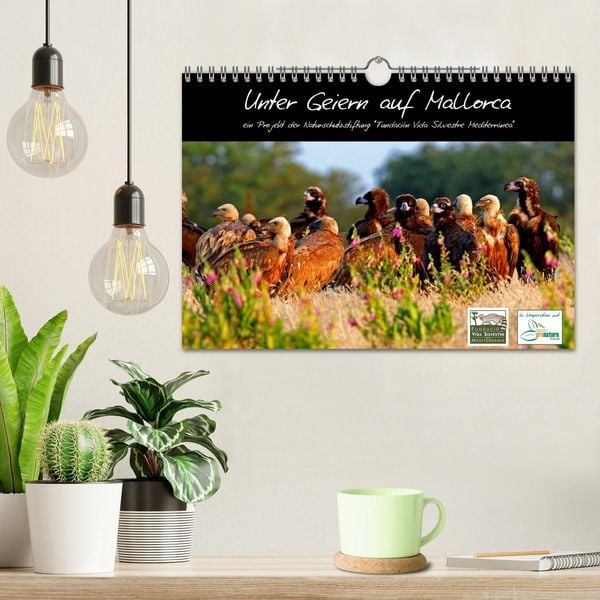 Produktbild: Unter Geiern auf Mallorca: Ein Projekt der Naturschutzstiftung Vida Silvestre Mediterr&aacute;nea (Wandkalender 2026 DIN A4 quer), CALVENDO Monatskalender