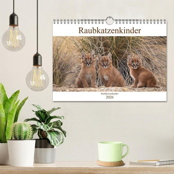 Produktbild: Raubkatzenkinder (Wandkalender 2026 DIN A4 quer), CALVENDO Monatskalender