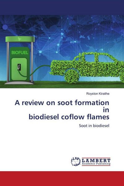 Produktbild: A review on soot formation in biodiesel coflow flames