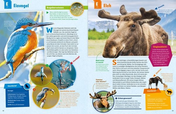 Produktbild: WAS IST WAS Geniale Tiere ... und ihre Tricks