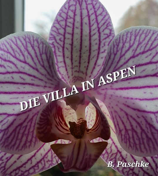 Produktbild: Die Villa in Aspen