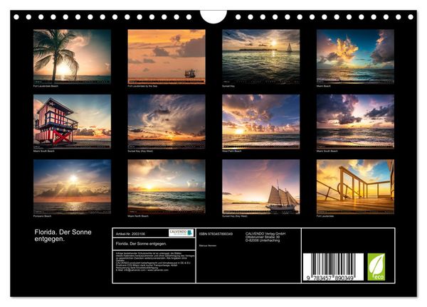 Produktbild: Florida. Der Sonne entgegen. (Wandkalender 2026 DIN A4 quer), CALVENDO Monatskalender