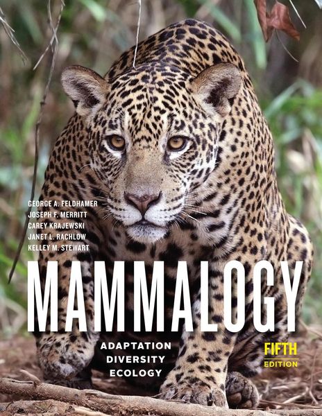 Produktbild: Mammalogy