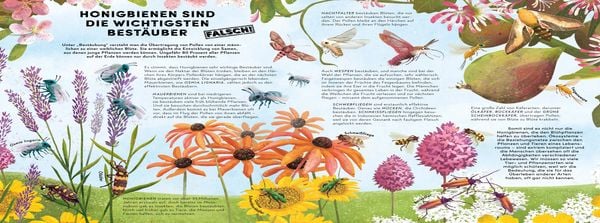 Produktbild: Alles, was wir über Krabbeltiere wissen, ist falsch!