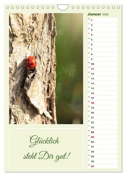 Produktbild: Marienk&auml;fer, Gl&uuml;cksbringer mit sieben Punkten (Wandkalender 2026 DIN A4 hoch), CALVENDO Monatskalender