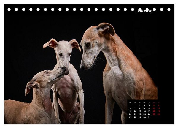 Produktbild: Die Stimme der Windhunde (Tischkalender 2026 DIN A5 quer), CALVENDO Monatskalender