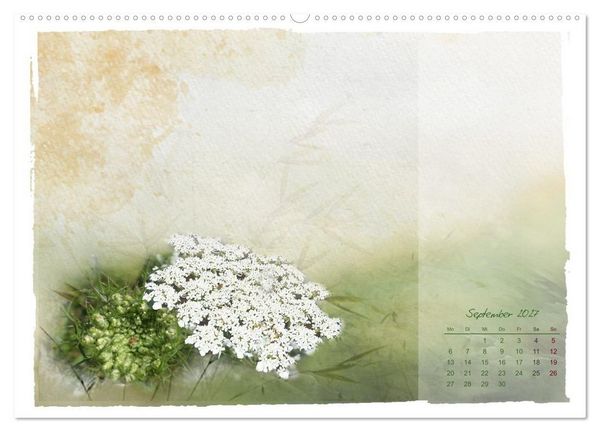 Produktbild: Natur und Farbe Fotografie trifft Aquarell (Wandkalender 2027 DIN A2 quer), CALVENDO Monatskalender
