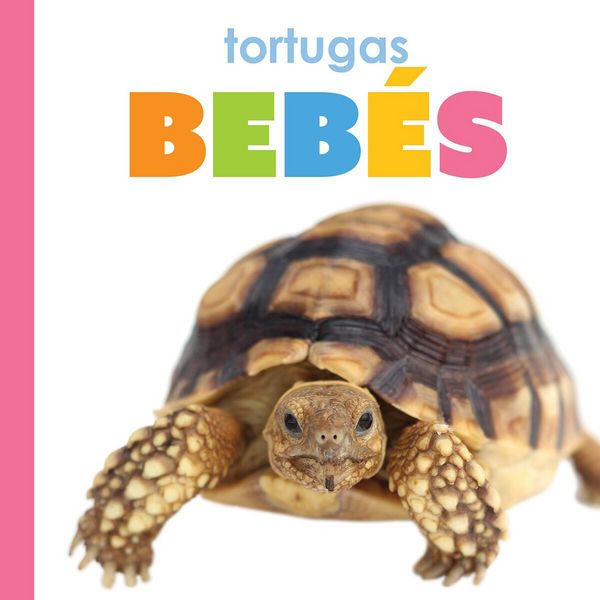 Produktbild: Tortugas Bebes