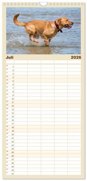 Produktbild: Familienplaner 2026 - Freunde auf vier Pfoten am Strand mit 5 Spalten (Wandkalender, 21 x 45 cm) CALVENDO