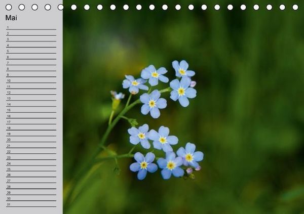 Produktbild: Waldges&auml;nge - Geburtstagskalender (Tischkalender immerw&auml;hrend DIN A5 quer)