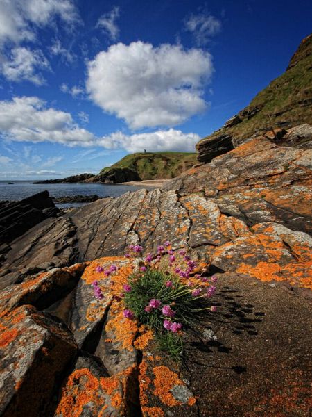 Produktbild: CALVENDO Puzzle Helmsdale, Sutherland, Schottland | 1000 Teile Lege-Gr&ouml;&szlig;e 64x48cm Foto-Puzzle f&uuml;r gl&uuml;ckliche Stunden