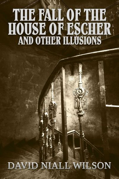 Produktbild: The Fall of the House of Escher and Other Illusions