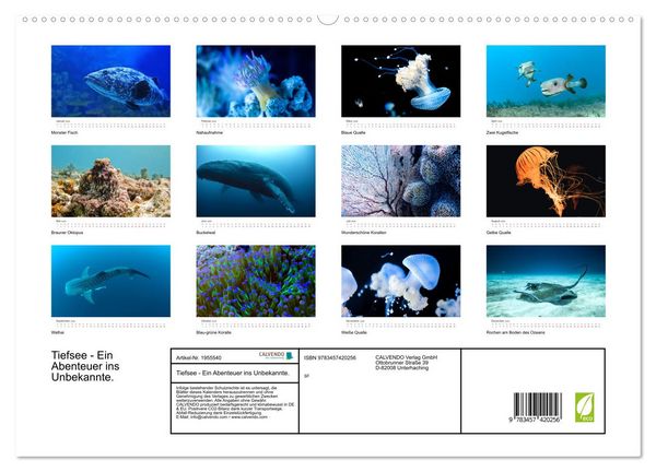 Produktbild: Tiefsee - Ein Abenteuer ins Unbekannte. (hochwertiger Premium Wandkalender 2026 DIN A2 quer), Kunstdruck in Hochglanz