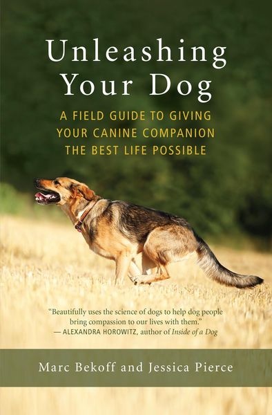 Produktbild: Unleashing Your Dog