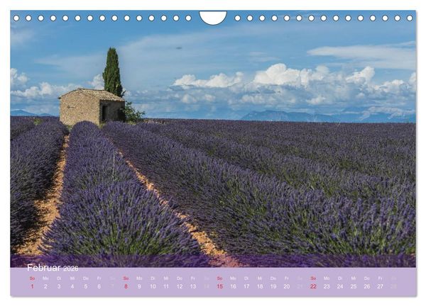 Produktbild: Die Farbe des Lavendels (Wandkalender 2026 DIN A4 quer), CALVENDO Monatskalender