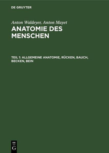 Produktbild: Allgemeine Anatomie, R&uuml;cken, Bauch, Becken, Bein