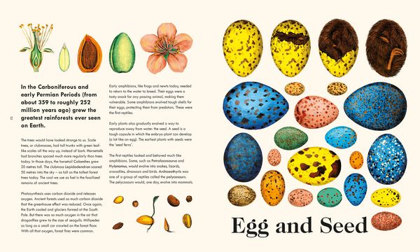 Produktbild: The Wonder of Life on Earth