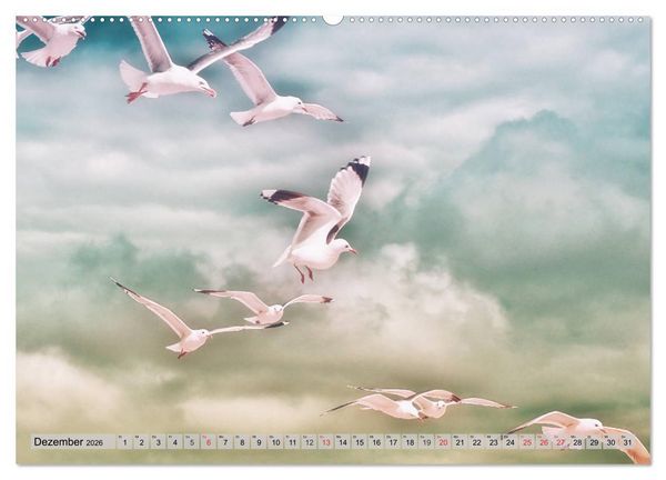 Produktbild: AMRUM Art (hochwertiger Premium Wandkalender 2026 DIN A2 quer), Kunstdruck in Hochglanz