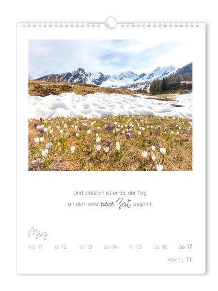 Wochenkalender 2024 LebensWeisheiten