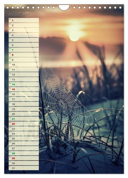 Produktbild: D&uuml;nen und Buhnen (Wandkalender 2027 DIN A4 hoch), CALVENDO Monatskalender