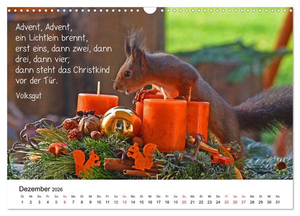 Produktbild: Der literarische Eichh&ouml;rnchen-Kalender (Wandkalender 2026 DIN A3 quer), CALVENDO Monatskalender