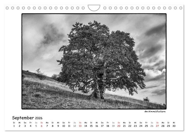 Produktbild: RH&Ouml;N SCHWARZ-WEISS (Wandkalender 2026 DIN A4 quer), CALVENDO Monatskalender