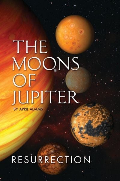 Produktbild: The Moons of Jupiter