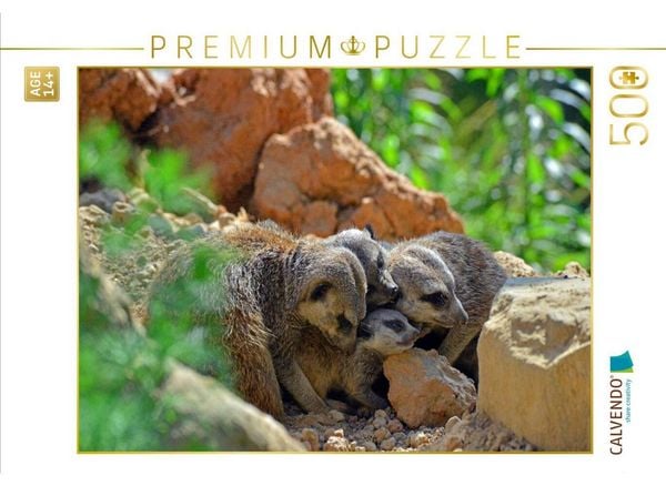 CALVENDO Puzzle Ein Motiv aus dem Kalender Erdmännchens Kinderstube | 500 Teile Lege-Größe 48 × 36 cm Foto-Puzzle für Erwachsene