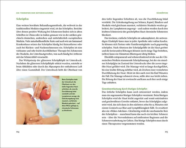 Die Natur-Docs – Meine besten Heilmittel für Gelenke. Arthrose, Rheuma und Schmerzen