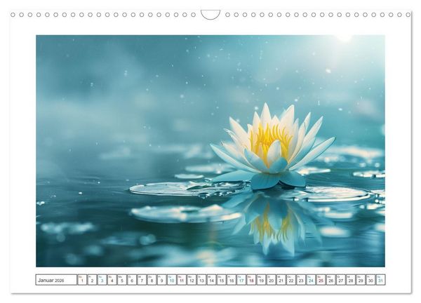 Produktbild: Lichtspiel der Seerosen (Wandkalender 2026 DIN A3 quer), CALVENDO Monatskalender