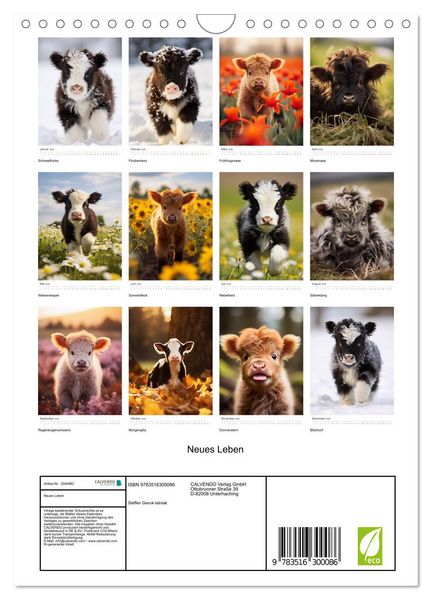 Produktbild: Neues Leben (Wandkalender 2026 DIN A4 hoch), CALVENDO Monatskalender